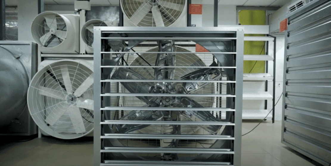 Video Galeri